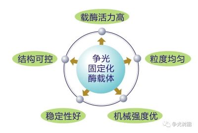 争光固定化酶载体Zhengguang immobilized enzyme carrier